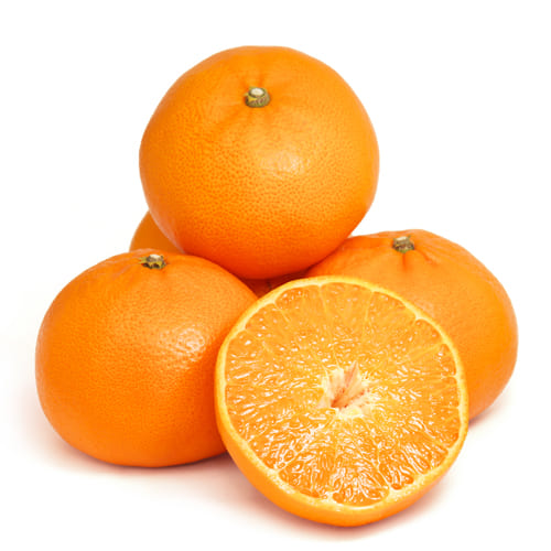 せとか　1kg　2025　森野さん