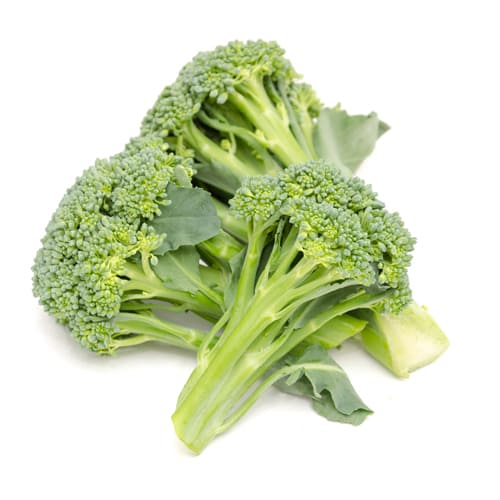 スティックセニョール磐田