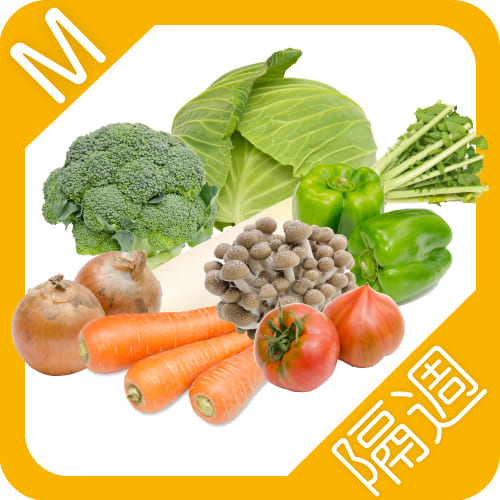 野菜定期便M隔週