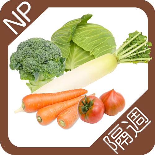 野菜定期便NP隔週