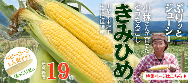トップバナーきみひめ