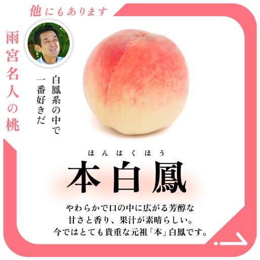 雨宮さんの桃　本白鳳