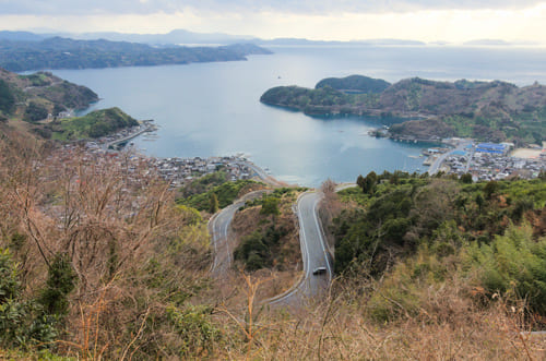 明浜の天晴農園