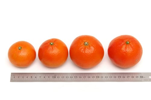 みはや　大きさ