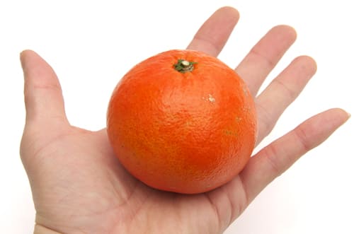 みはや　大きさ