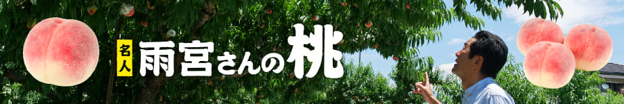 桃バナー細長2025