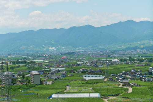 大野を見渡す