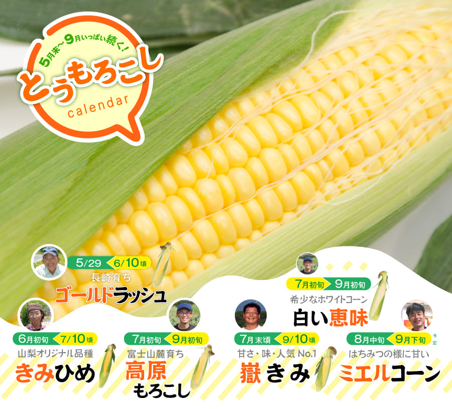 もろこしカレンダー24