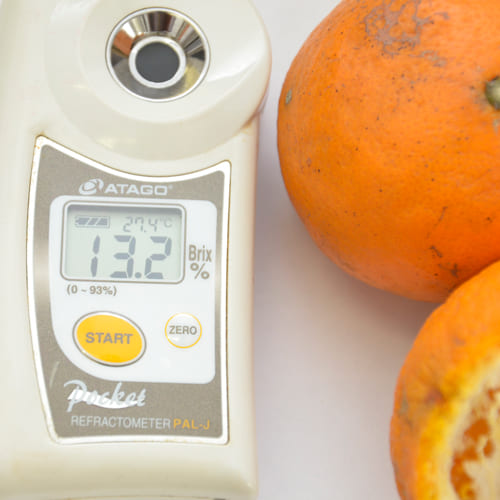 愛媛県産 宇都宮さんが育てた なつみ 南津海