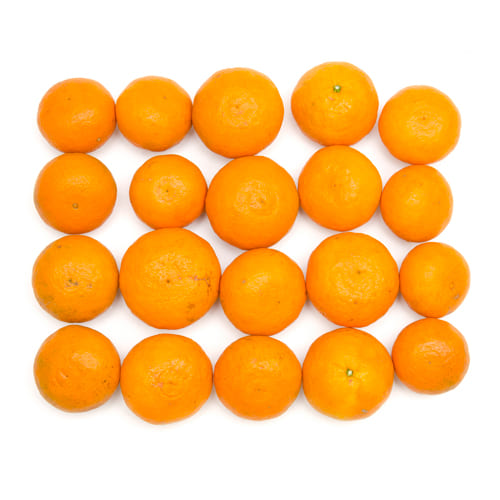 愛媛県産 宇都宮さんが育てた なつみ 南津海