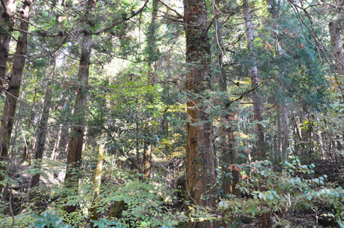 妙義山の麓