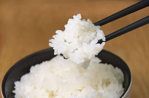 山本さんのコシヒカリ