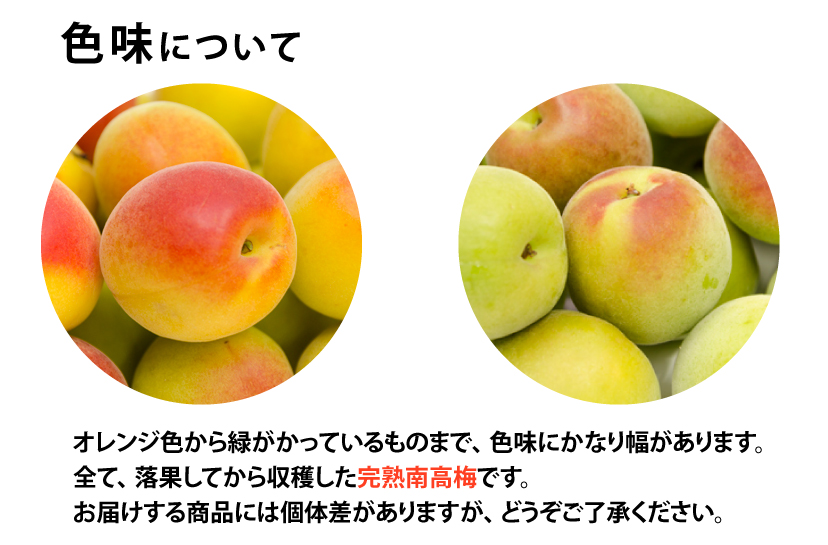完熟南高梅