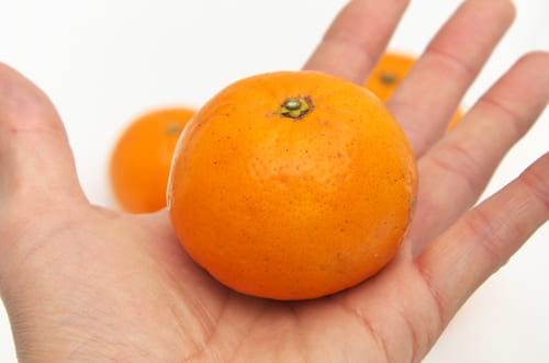 のうろくオレンジ