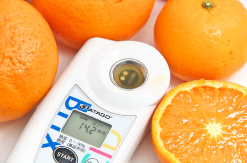 のうろくオレンジ