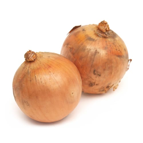 玉ねぎ　北もみじ2000　500g