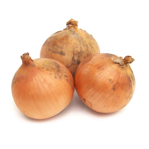 北海道産 北川さんが育てた 玉ねぎ