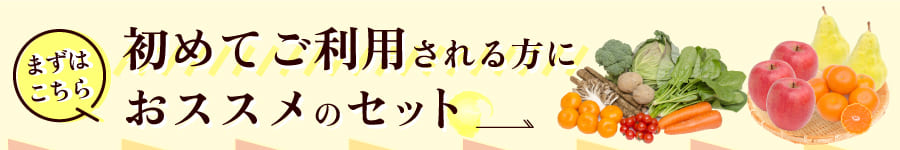 初めての方におススメ商品