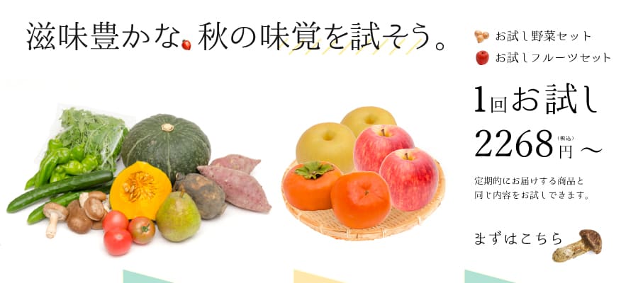 お試し定期便