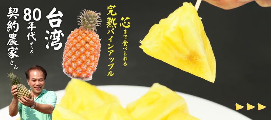 台湾パイン特集