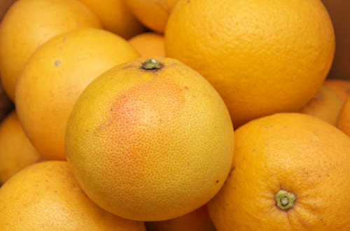 ピンクグレープフルーツ