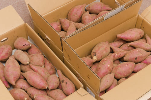 上妻スペシャル