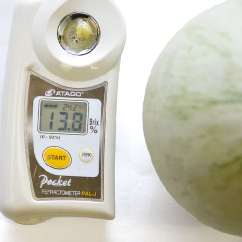 プリンスメロン糖度