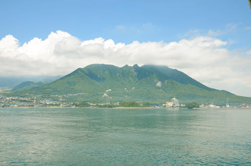 島原のメロン畑