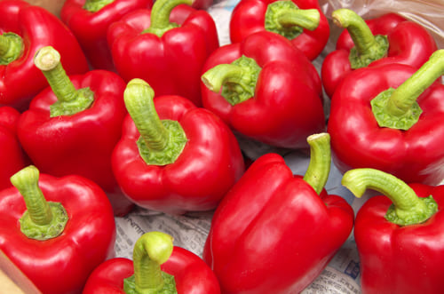 川越さんのパプリカ