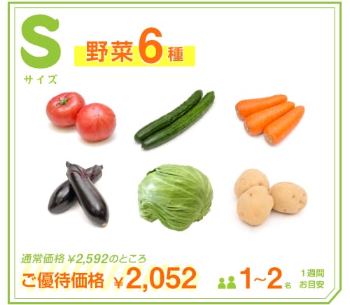 隔週】りょくけん野菜定期便 Sサイズ