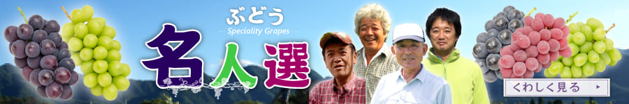 ぶどう特集