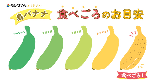 島バナナ食べごろの目安 りょくけんオリジナル