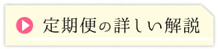 定期便の解説