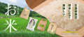 お米特集