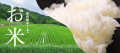 お米特集