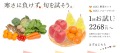 お試し定期便