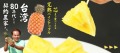 台湾パイン特集