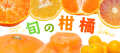 みかん特集