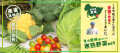豊橋野菜セット