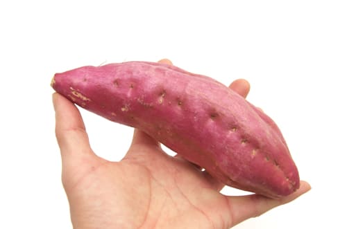 なると金時　大きさ目安