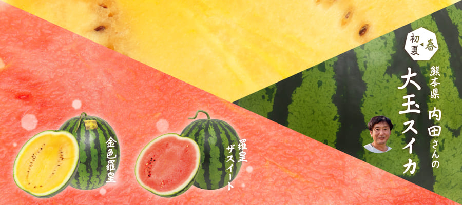 内田さんのスイカ特集