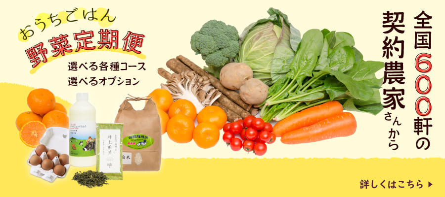 定期便のご案内