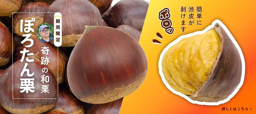 茨城県産　ぽろたん(和栗)3キロ　2L以上 茨城県産 ぽろたん(和栗)3キロ 2L以上 茨城県産 和栗大きめ