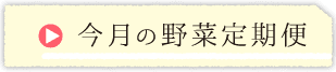 今月の野菜定期便の内容