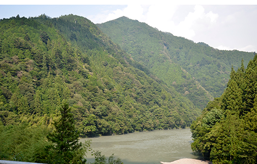 天龍村坂部地区