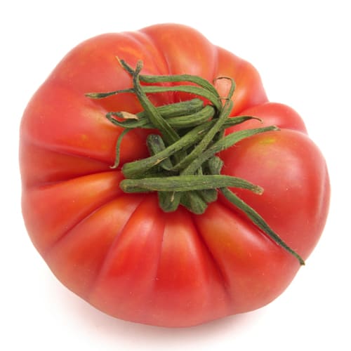 特選ファーストトマト