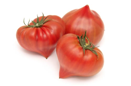 特選ファーストトマト