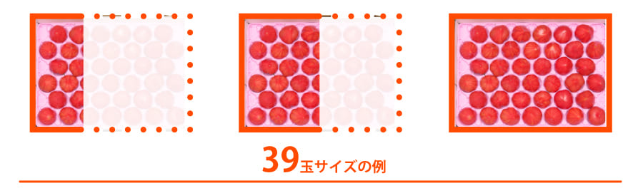 トマトの量目解説39玉