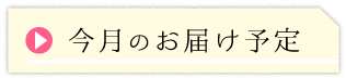 今月の野菜定期便の内容