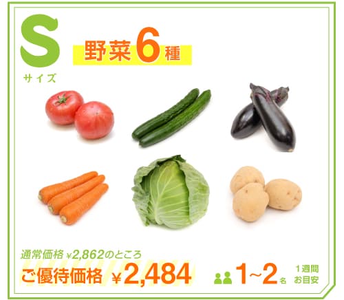 定期便の内容 Sサイズ